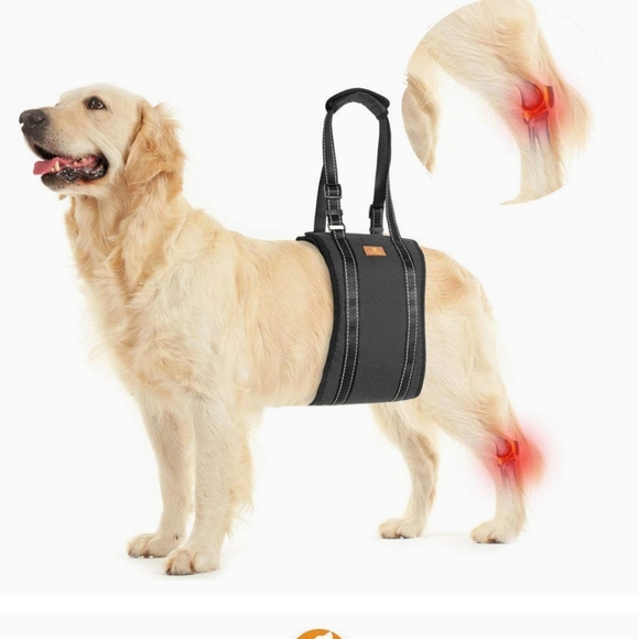 Kooltail dog lift harness assist - Picture 1 of 7